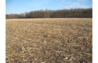 Property photo 7 - 44 Acres Offered in 3 Tracts